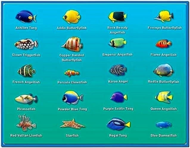 Marine Aquarium Deluxe 3.0 For Mac